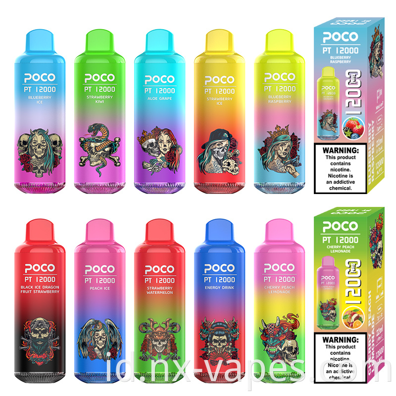 PT 12000 10